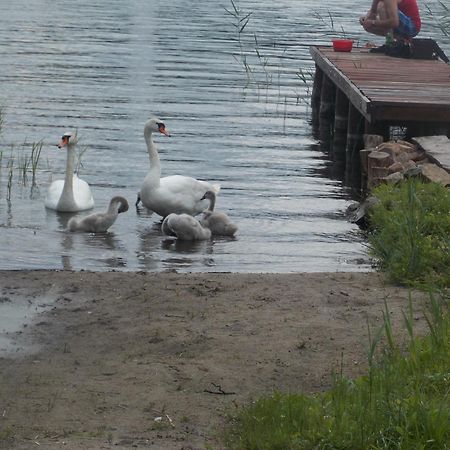 Mazury Home غيجيتسكو المظهر الخارجي الصورة